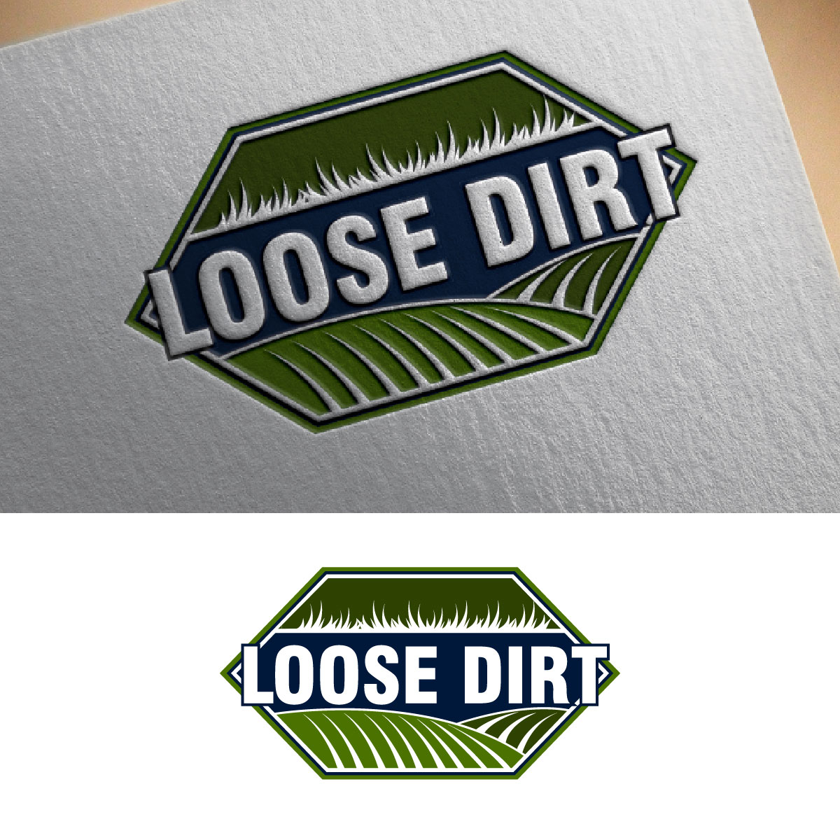 Logo Design by fly  design for this project | Design #33373961