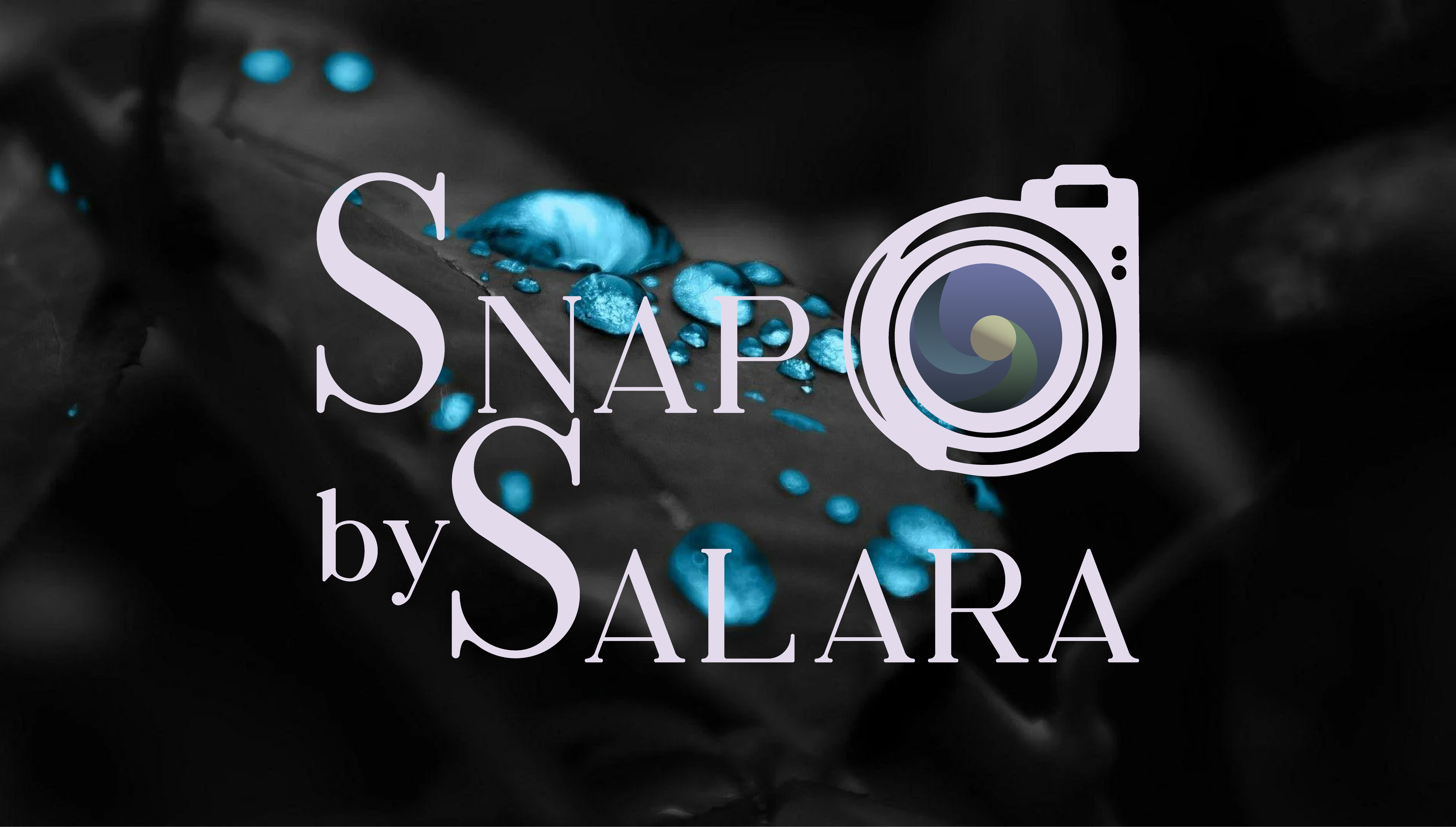 Logo Design by ctoon 2024 for this project | Design #33490847