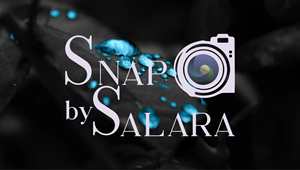 Logo Design by ctoon 2024 for this project | Design: #33490847