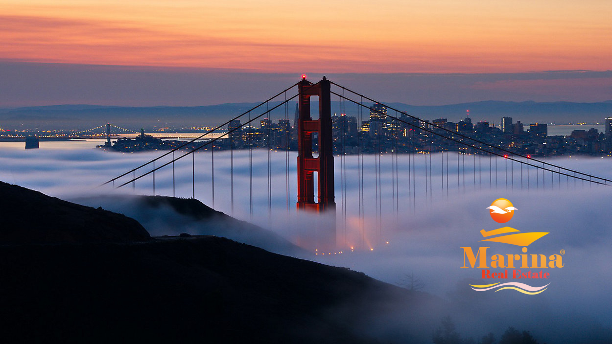 Logo Design by Burhan Art for this project | Design #33396096