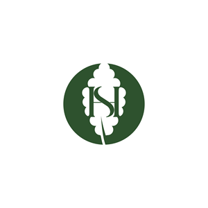 Diseño de Logo por Jeferson HP para este proyecto | Diseño #33389772
