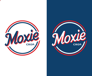 Logo Design by Adi Graphics for this project | Design: #33394638