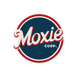 Logo Design by amir1tanveer