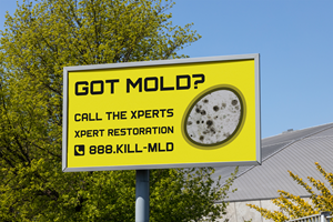 Billboard Design by Goltu for this project | Design: #33423423