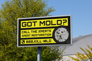 Billboard Design by Goltu for this project | Design: #33436672