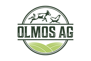 Logo Design by Aezakmi for this project | Design: #33450501