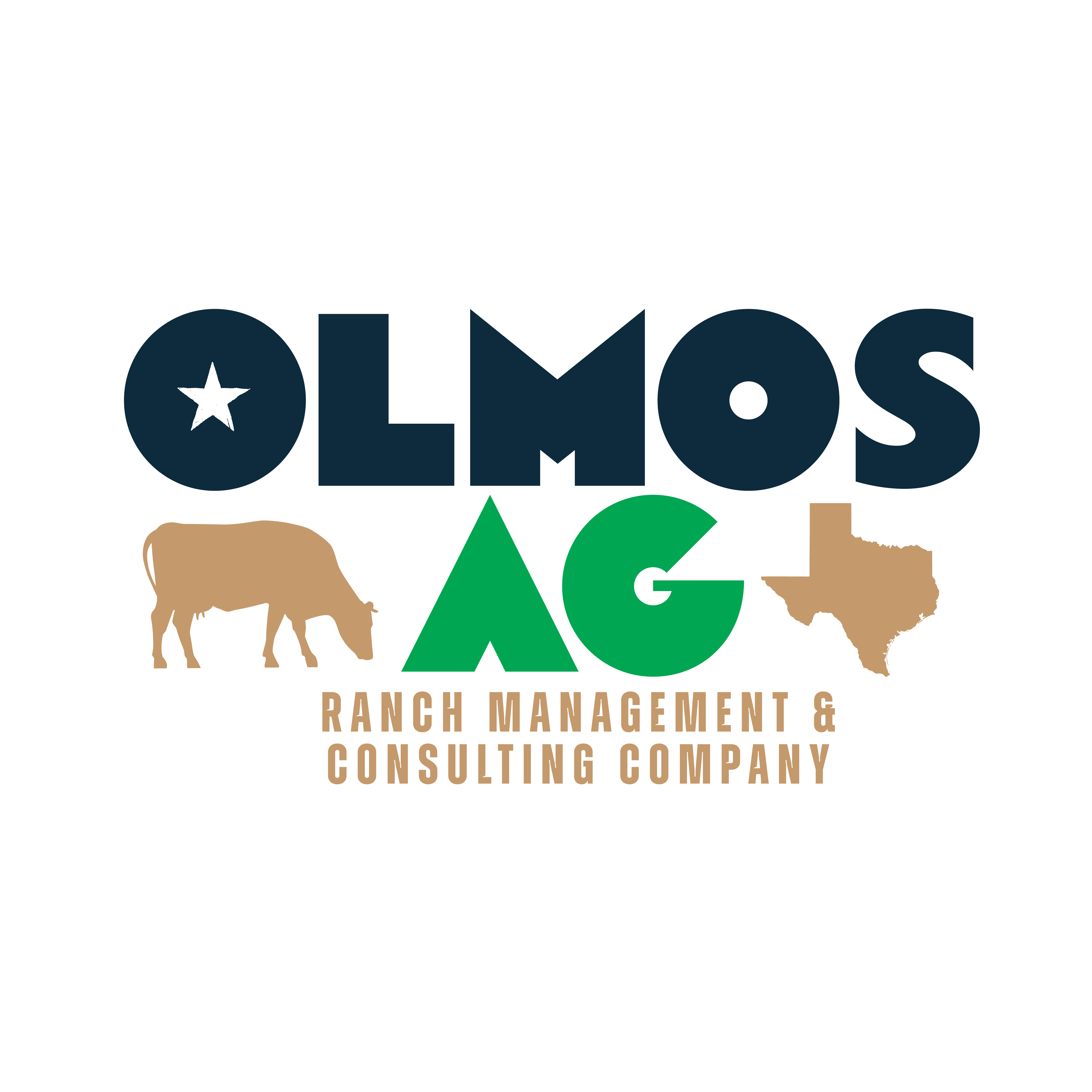 Diseño de Logo por cre8iveRob para este proyecto | Diseño #33413390