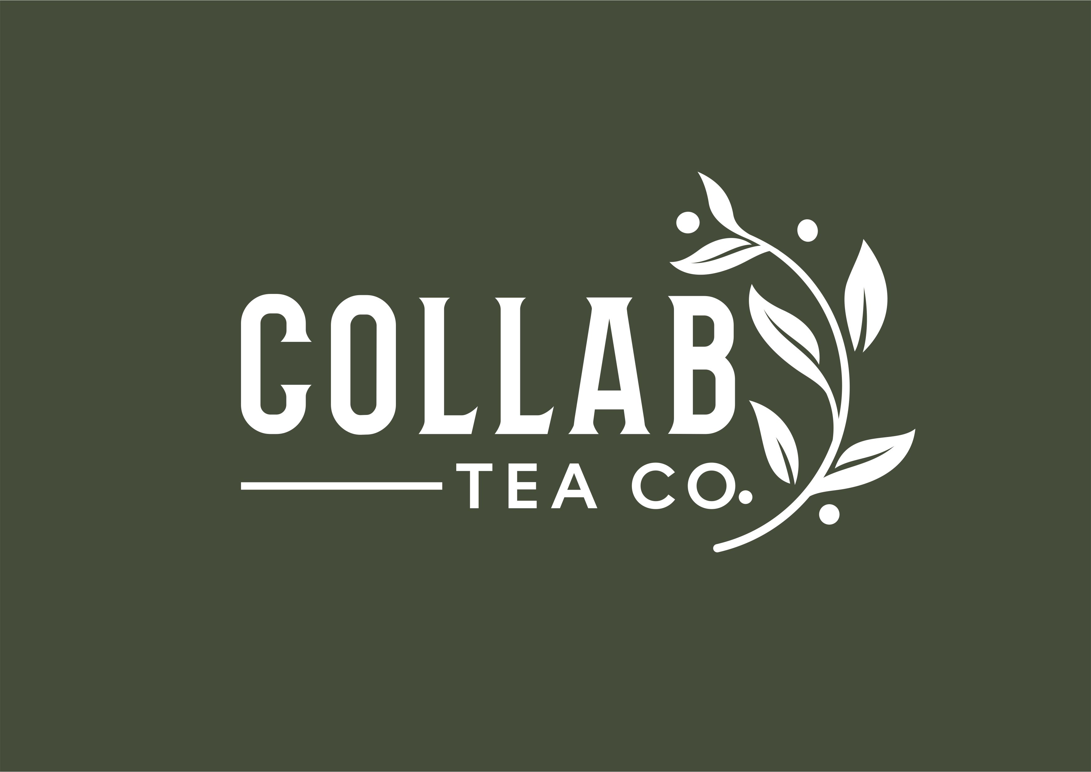 Diseño de Logo por ammar_ed para este proyecto | Diseño #33413974