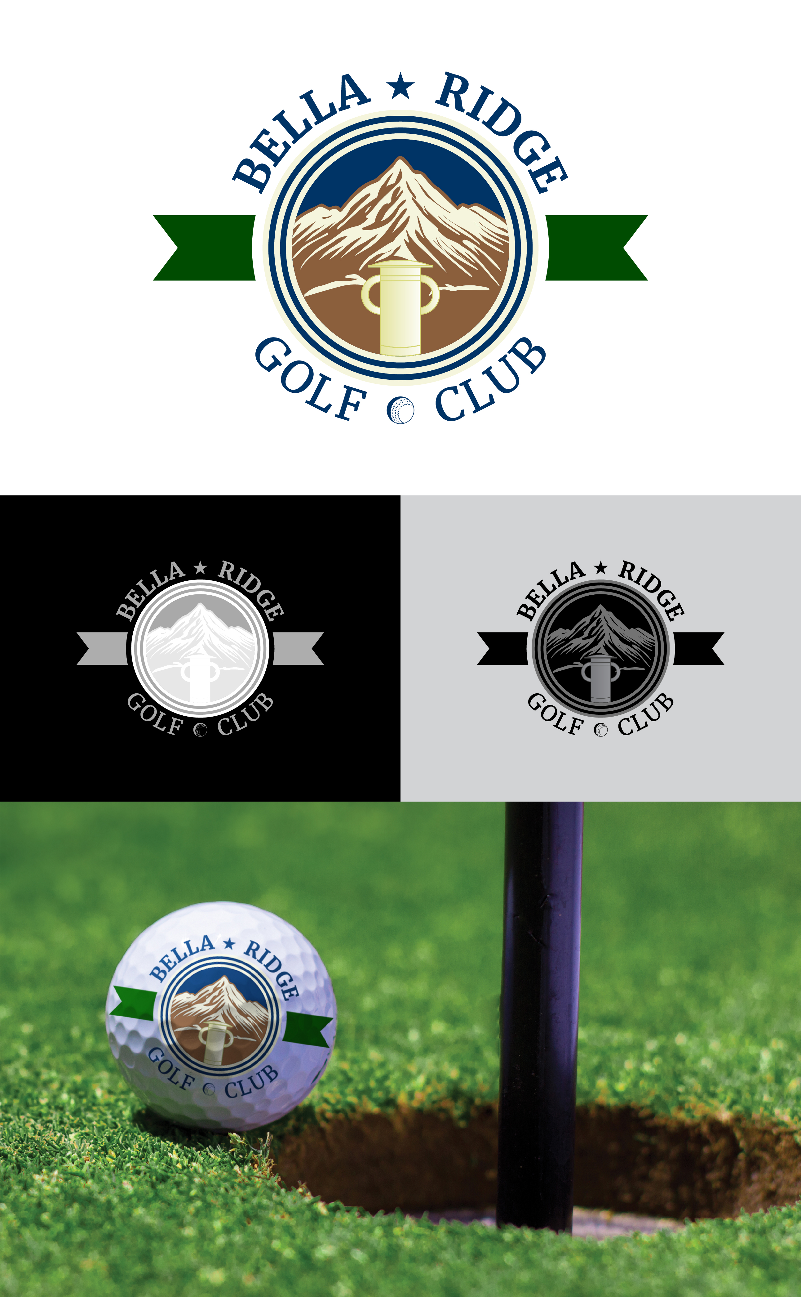 Logo Design by YazgiliErkut for Troon | Design #33451503
