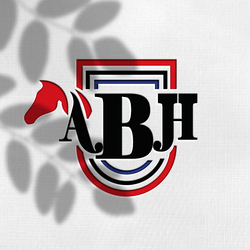 Logo Design by Design_Duo for this project | Design #33433636