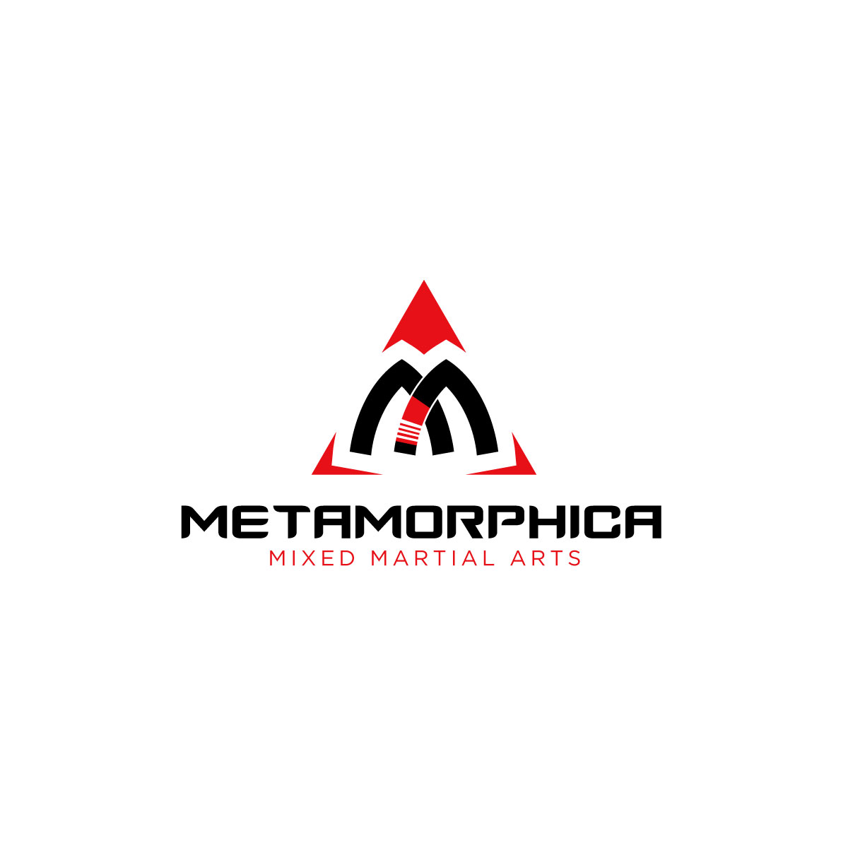 Logo Design by chris Ray for this project | Design #33416459