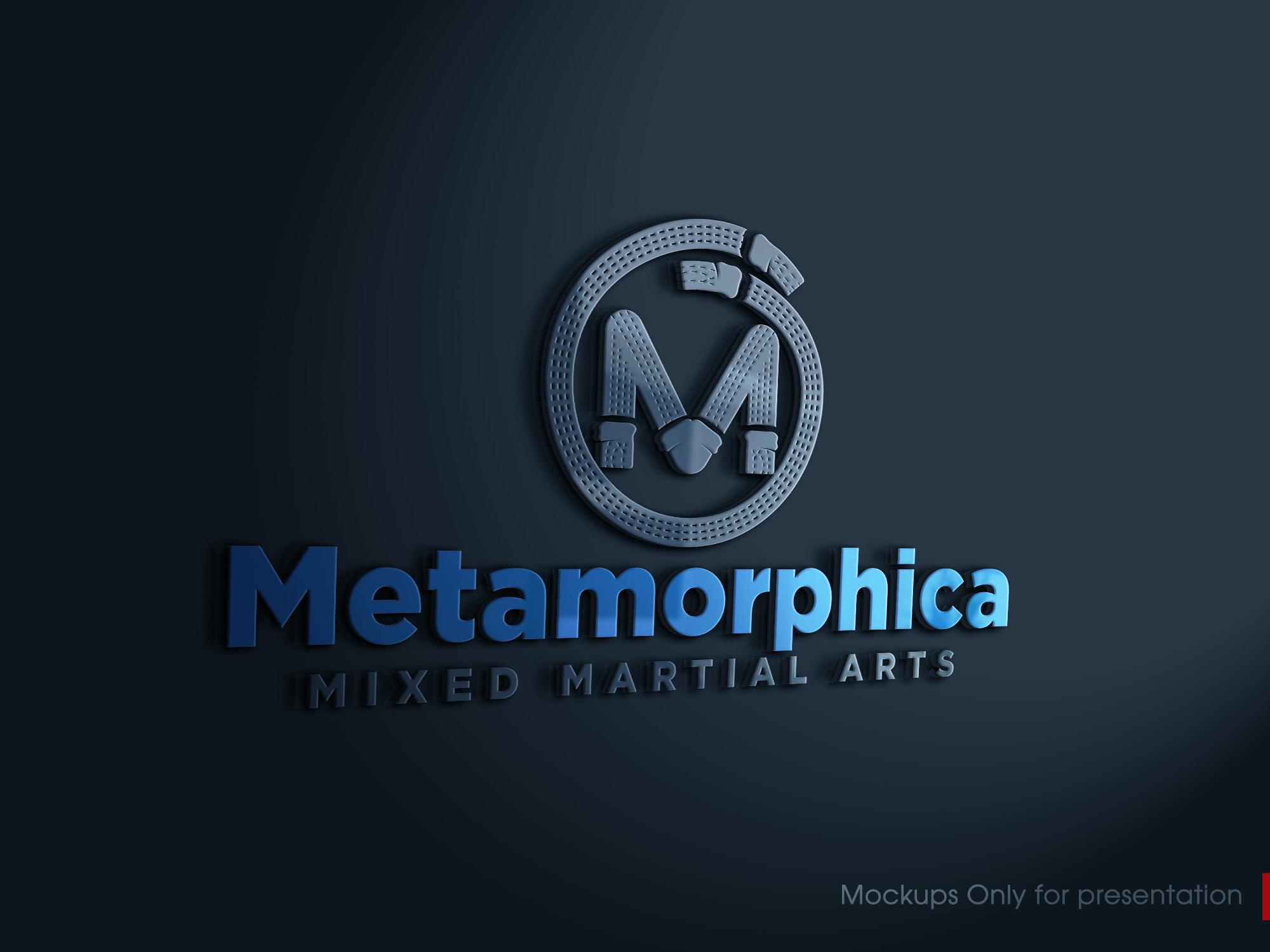 Logo Design by Mono.co for this project | Design #33416390