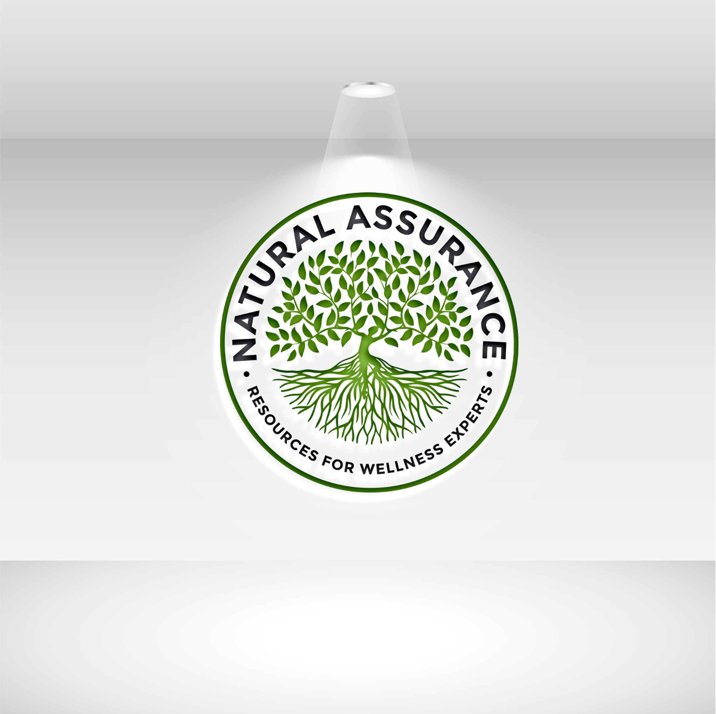 Logo Design by Rosalie.. for this project | Design #33423247