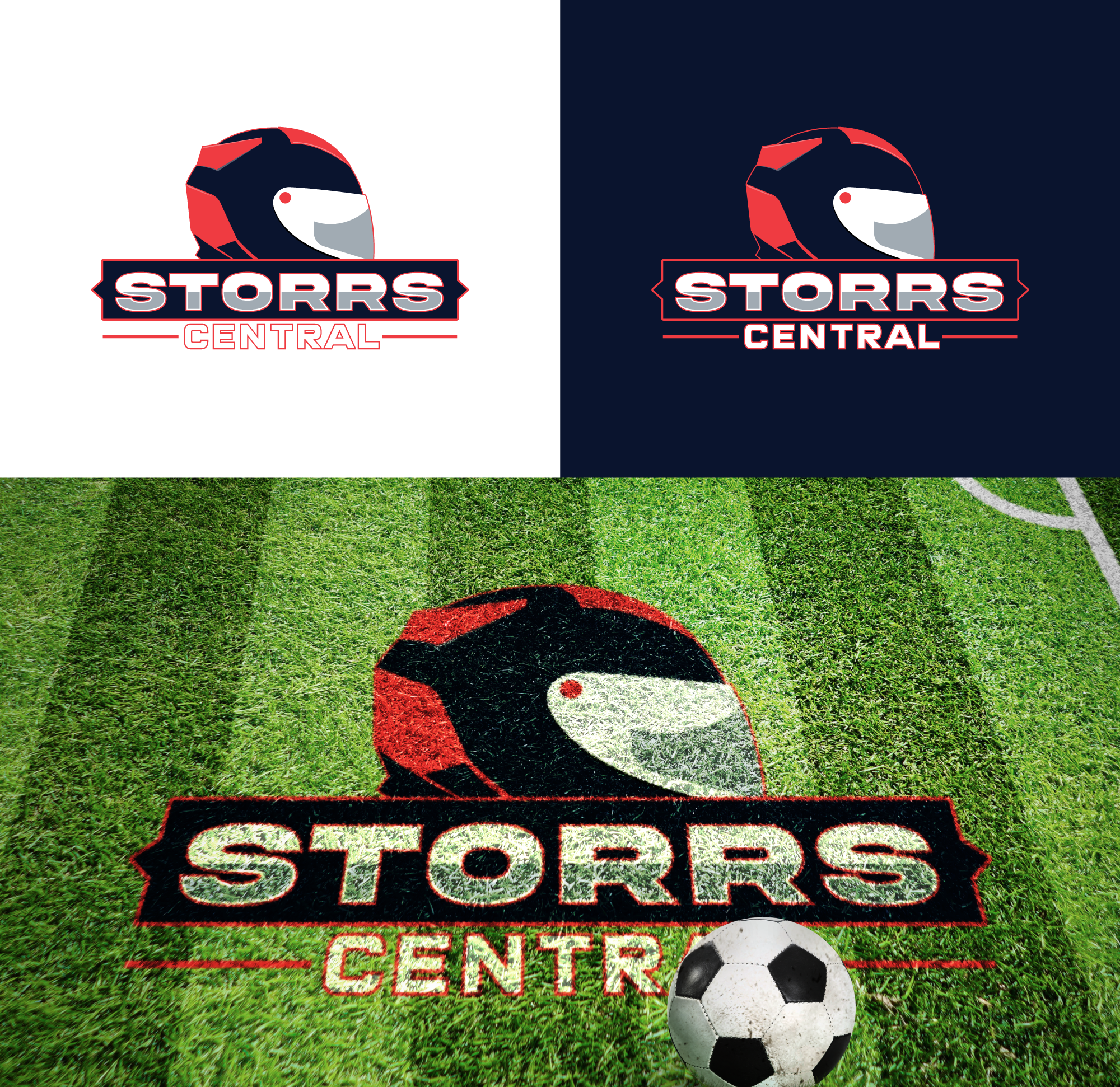 Logo Design by RA-bica for this project | Design #33432063