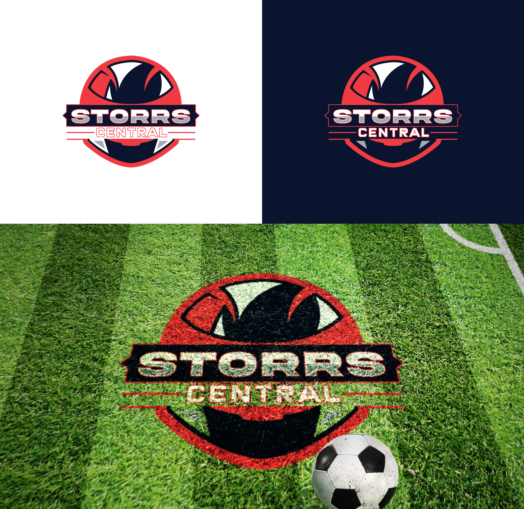 Logo Design by RA-bica for this project | Design #33432064