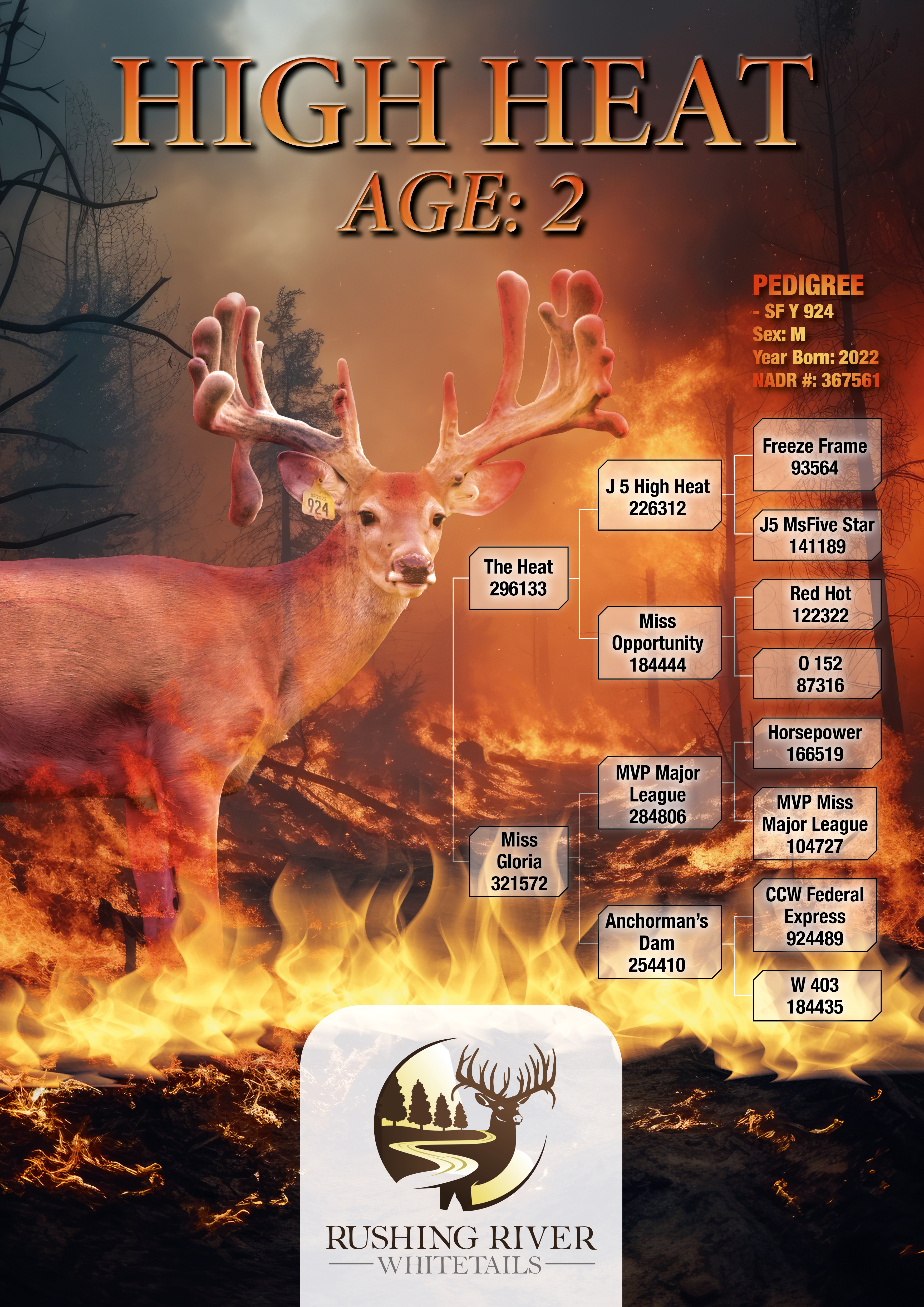 Design Graphique par MarkoE pour ce projet | Design #33432091