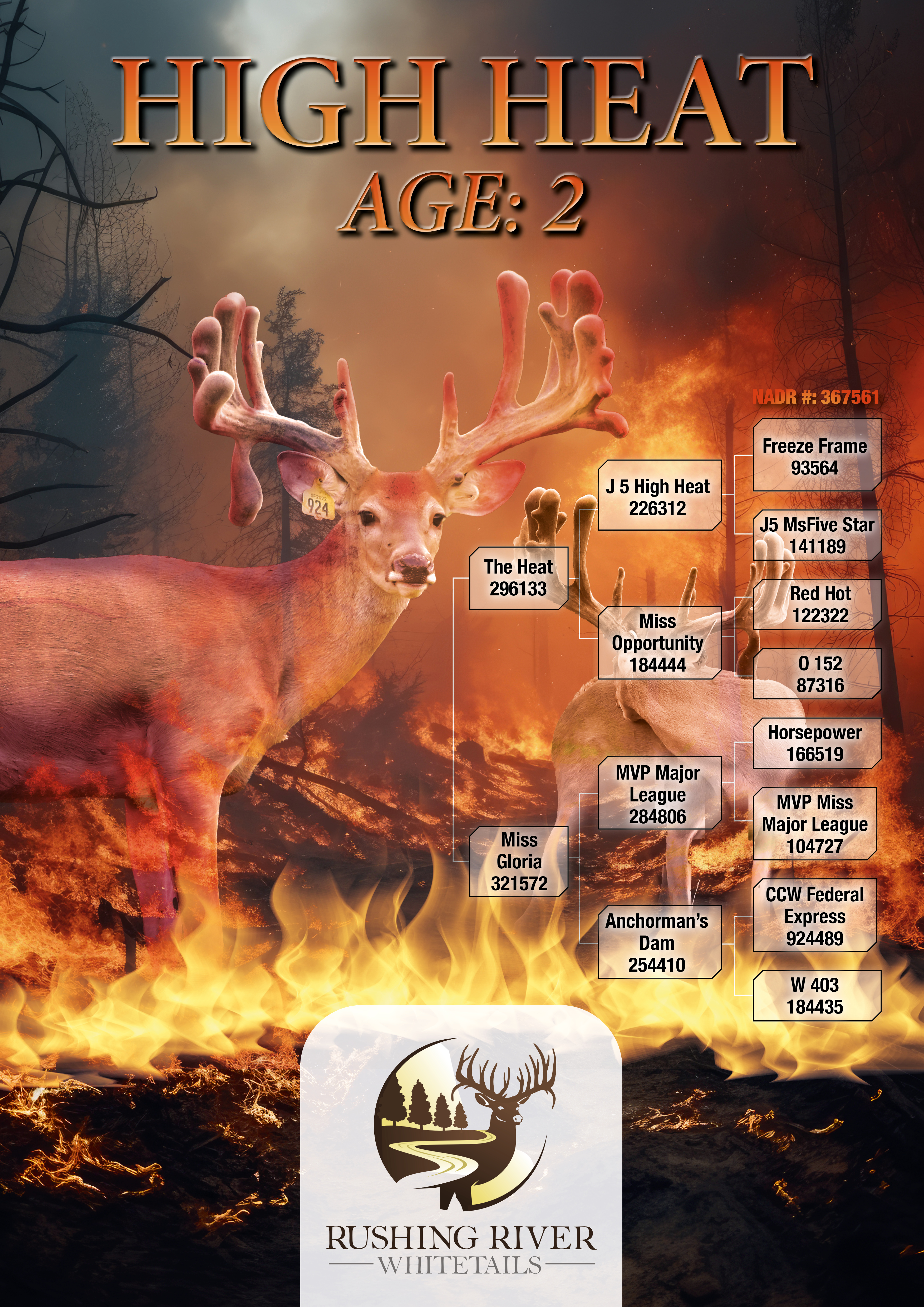 Design Graphique par MarkoE pour ce projet | Design #33433838