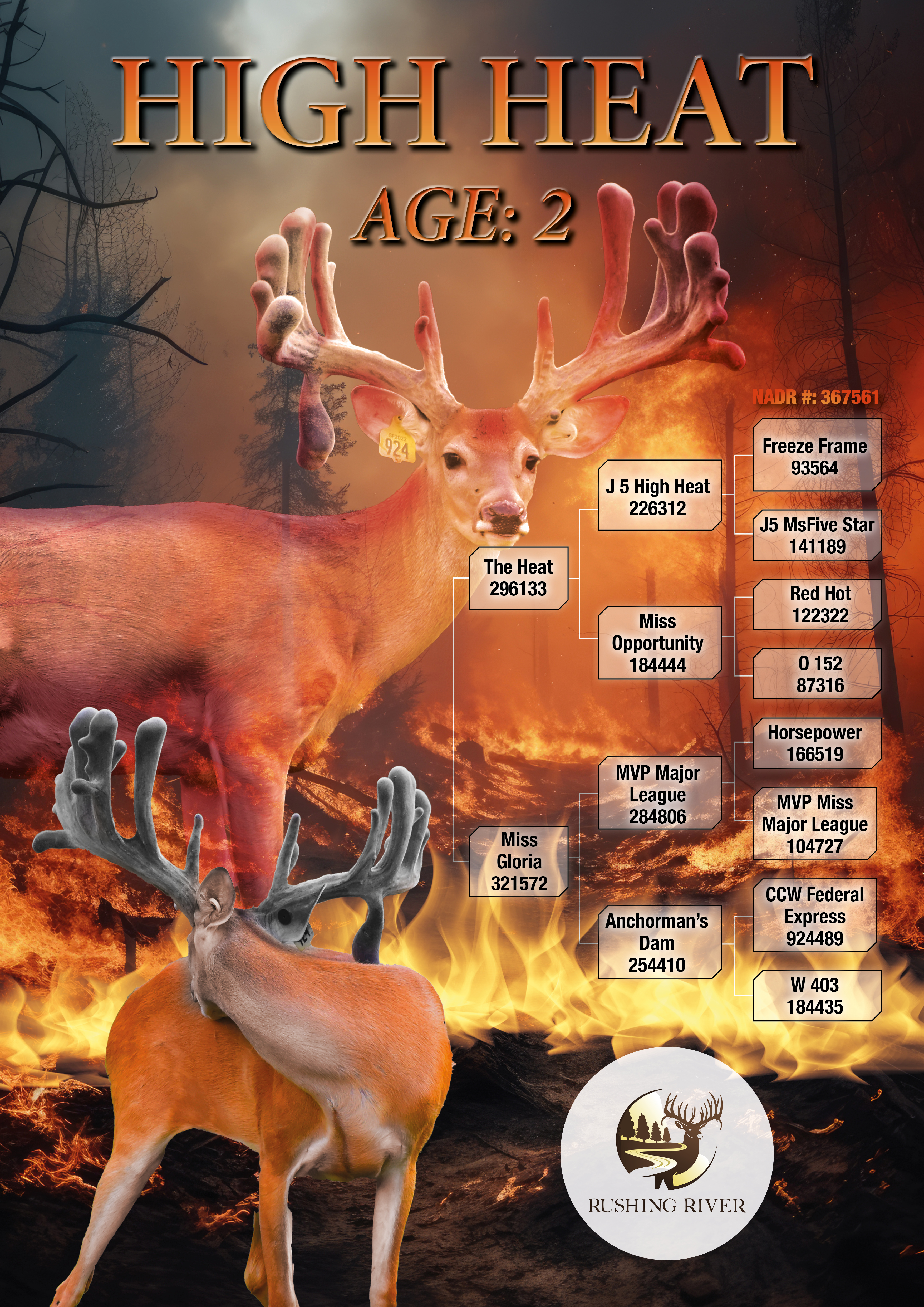 Design Graphique par MarkoE pour ce projet | Design #33434555