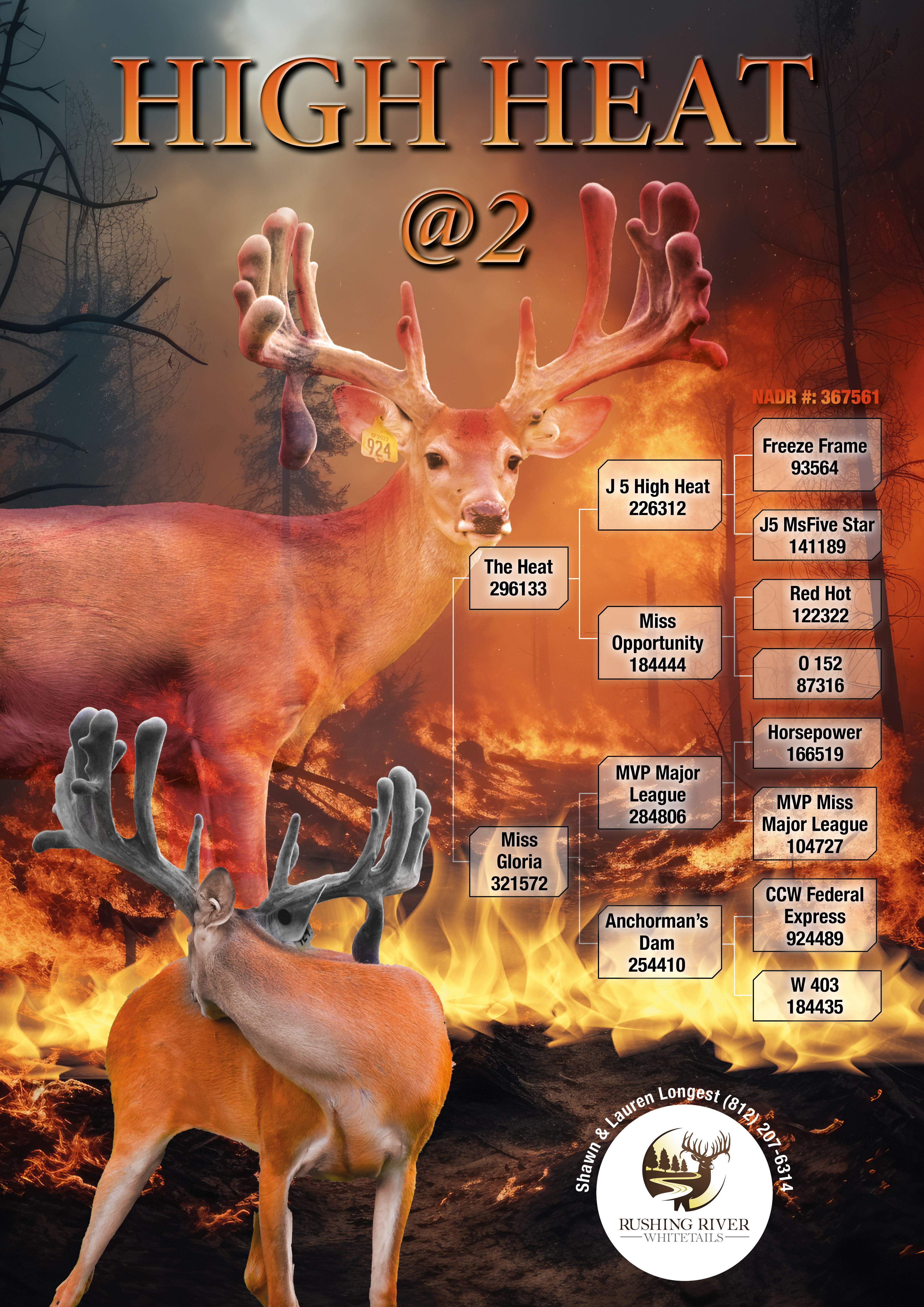 Graphic Design by MarkoE for this project | Design #33436962