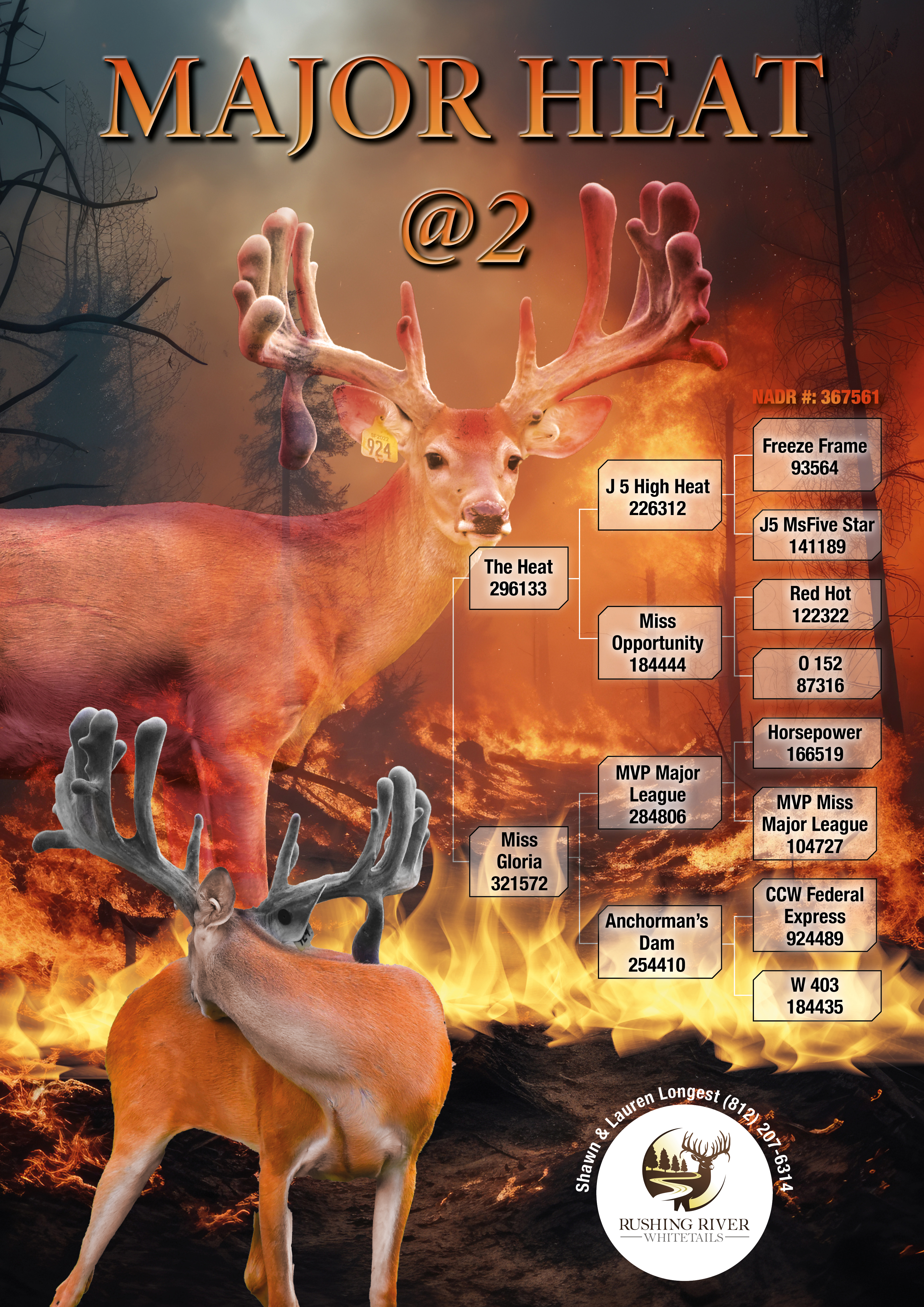 Design Graphique par MarkoE pour ce projet | Design #33447662