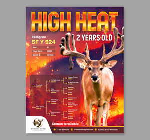 Graphic Design by Dzhafir