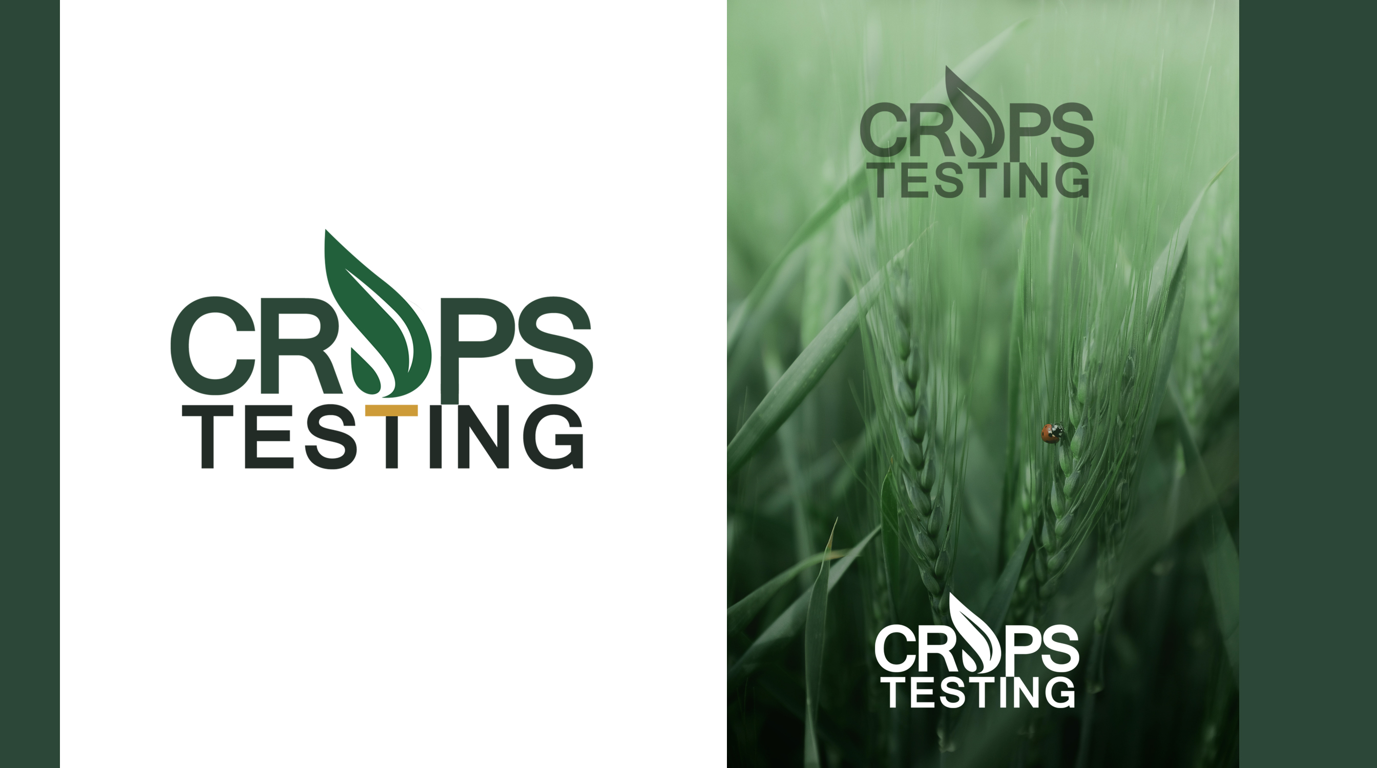 Logo Design by aneesha_s for this project | Design #33439039