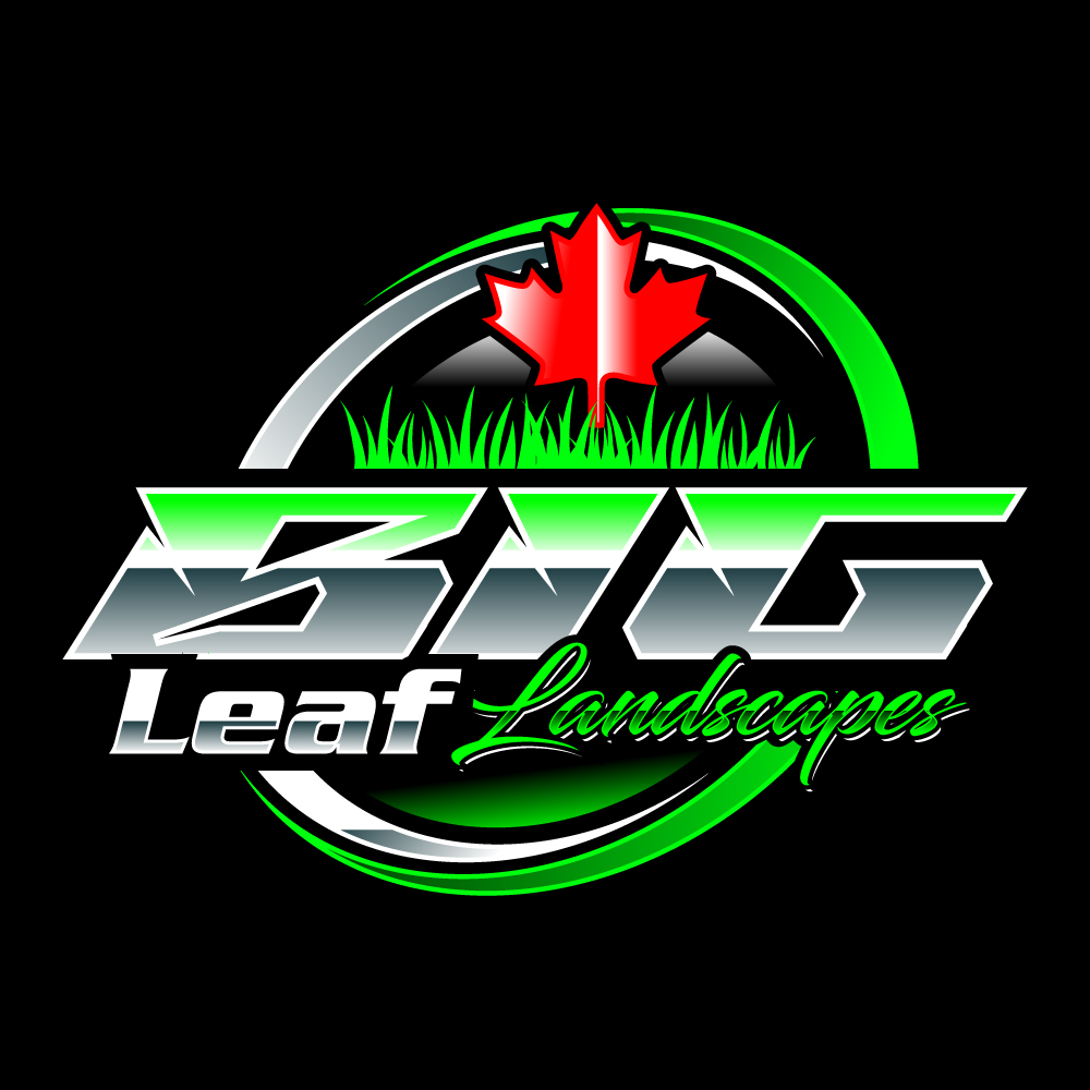 Logo Design by Suvendu.S for this project | Design #33462176
