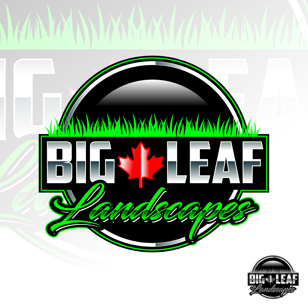 Design de Logo par Suvendu.S pour ce projet | Design #33462177