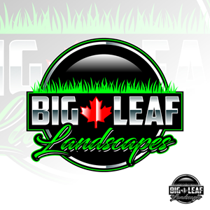 Design de Logo par Suvendu.S pour ce projet | Design : #33462177