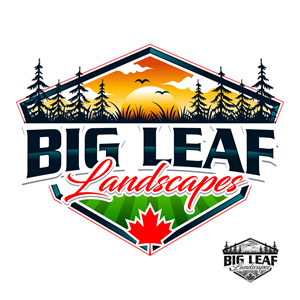 Design de Logo par Suvendu.S pour ce projet | Design : #33462771