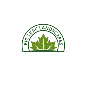Design de Logo par Casey Kelechi pour ce projet | Design : #33445487