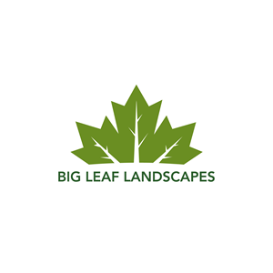 Design de Logo par Casey Kelechi pour ce projet | Design : #33448018