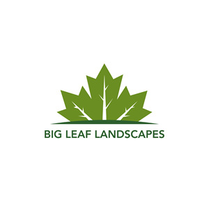 Design de Logo par Casey Kelechi pour ce projet | Design : #33448019
