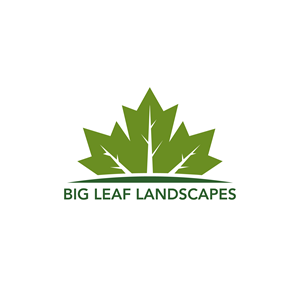 Design de Logo par Casey Kelechi pour ce projet | Design : #33448021