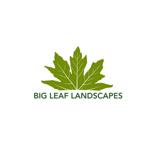 Design de Logo par Casey Kelechi pour ce projet | Design : #33454227