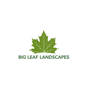Design de Logo par Casey Kelechi pour ce projet | Design : #33454228