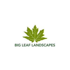 Design de Logo par Casey Kelechi pour ce projet | Design : #33454230