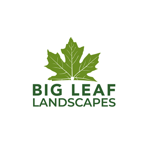 Logo-Design von Casey Kelechi für dieses Projekt | Design: #33467512