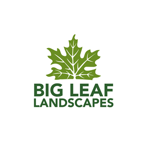 Logo-Design von Casey Kelechi für dieses Projekt | Design: #33482107