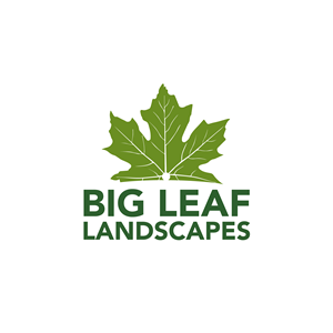 Logo-Design von Casey Kelechi für dieses Projekt | Design: #33482108