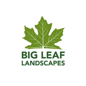Logo Design by Casey Kelechi for this project | Design #33496581