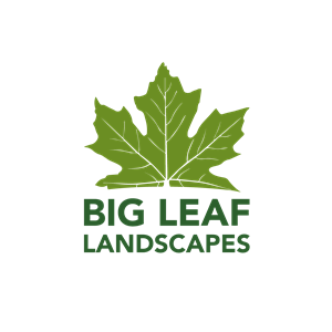 Logo-Design von Casey Kelechi für dieses Projekt | Design: #33714925