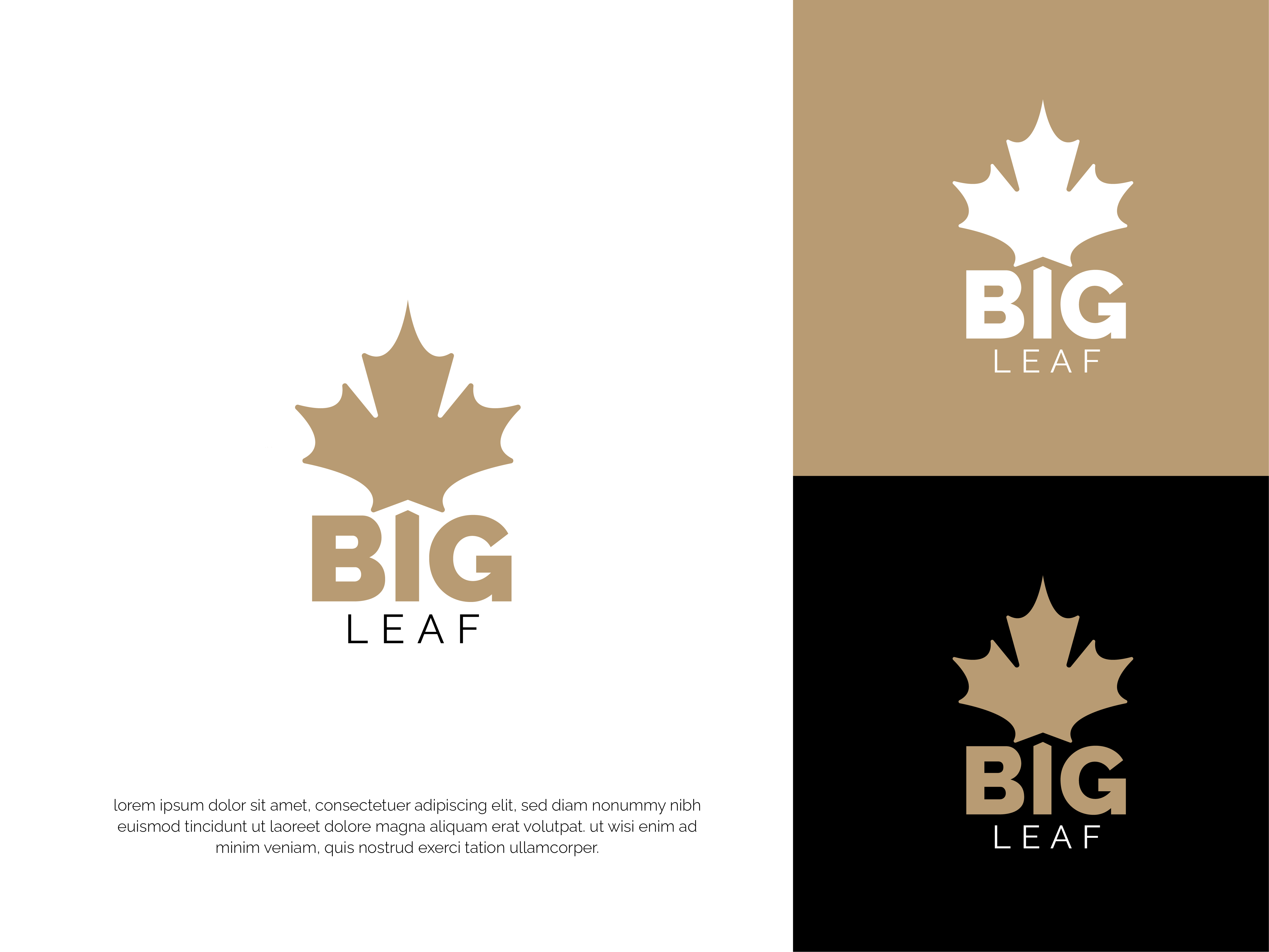 Design de Logo par Emjey Design pour ce projet | Design #33445501