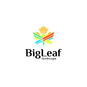 Diseño de Logo por Pen Studio para este proyecto | Diseño: #33448732