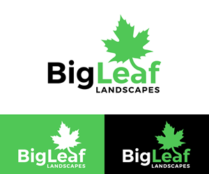 Logo Design by Ayub Zafar for this project | Design: #33482058