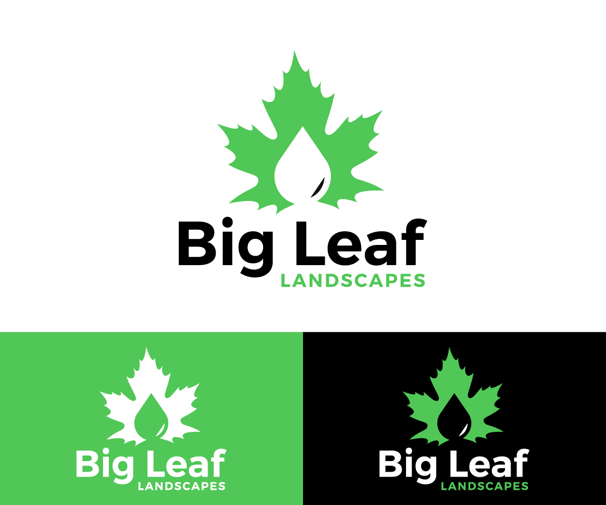 Logo Design by AyubZafar.com for this project | Design #33482060