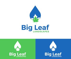 Logo Design by Ayub Zafar for this project | Design: #33482061