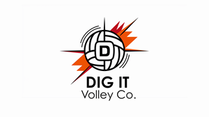 Logo Design by alcartoon for Todd Audio Visual | Design #33447928