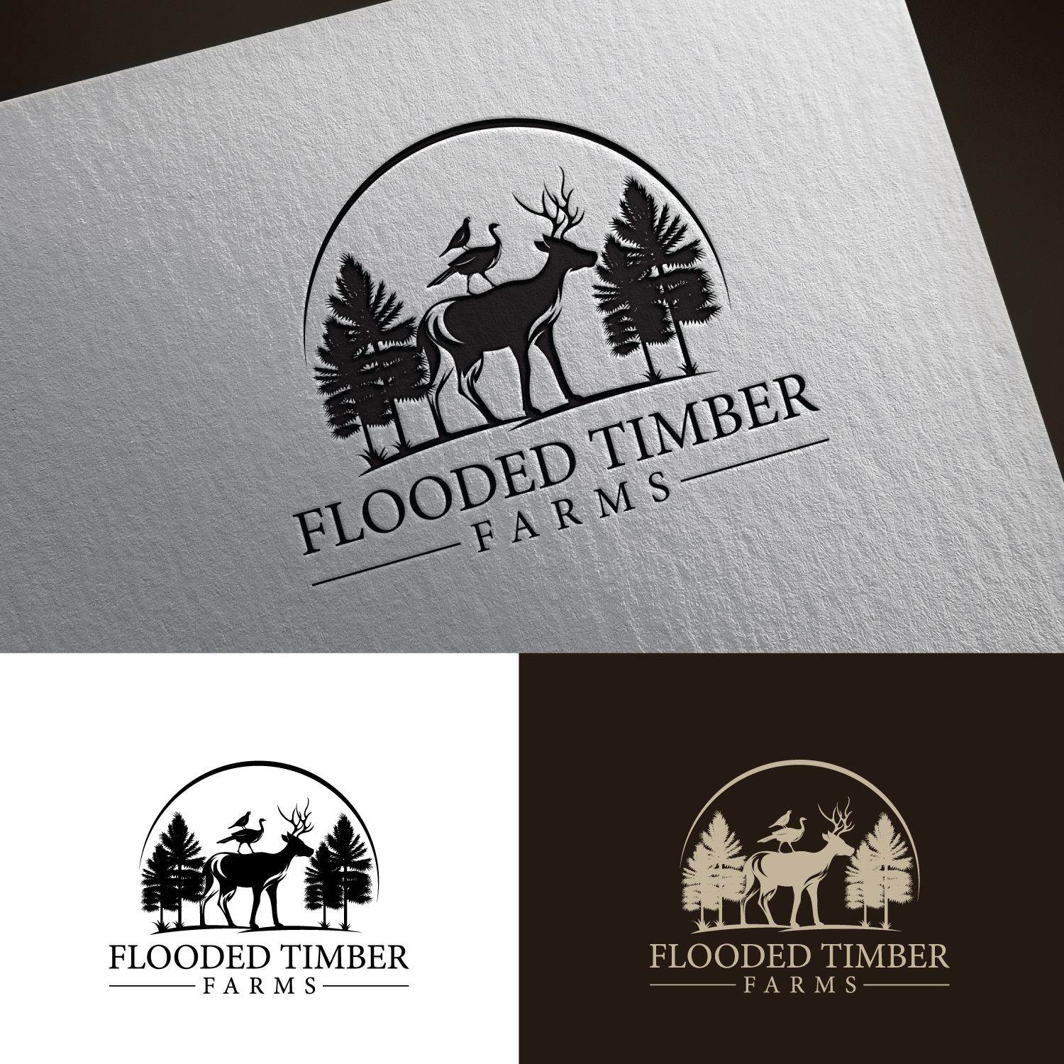 Logo Design by sankar999 for this project | Design #33456111