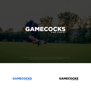 Logo Design by chilliebird studio